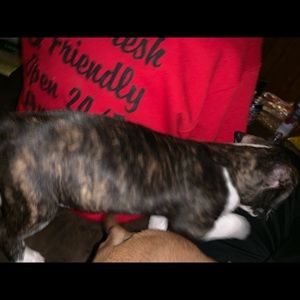 Meet your Posher, Arianna